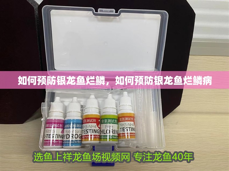 如何預(yù)防銀龍魚爛鱗，如何預(yù)防銀龍魚爛鱗病