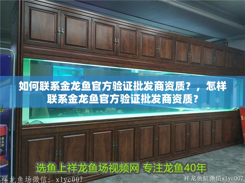 如何聯(lián)系金龍魚官方驗證批發(fā)商資質(zhì)？，怎樣聯(lián)系金龍魚官方驗證批發(fā)商資質(zhì)？