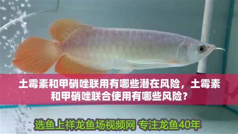 土霉素和甲硝唑聯用有哪些潛在風險，土霉素和甲硝唑聯合使用有哪些風險？