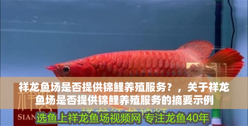 祥龍魚場是否提供錦鯉養(yǎng)殖服務？，關于祥龍魚場是否提供錦鯉養(yǎng)殖服務的摘要示例