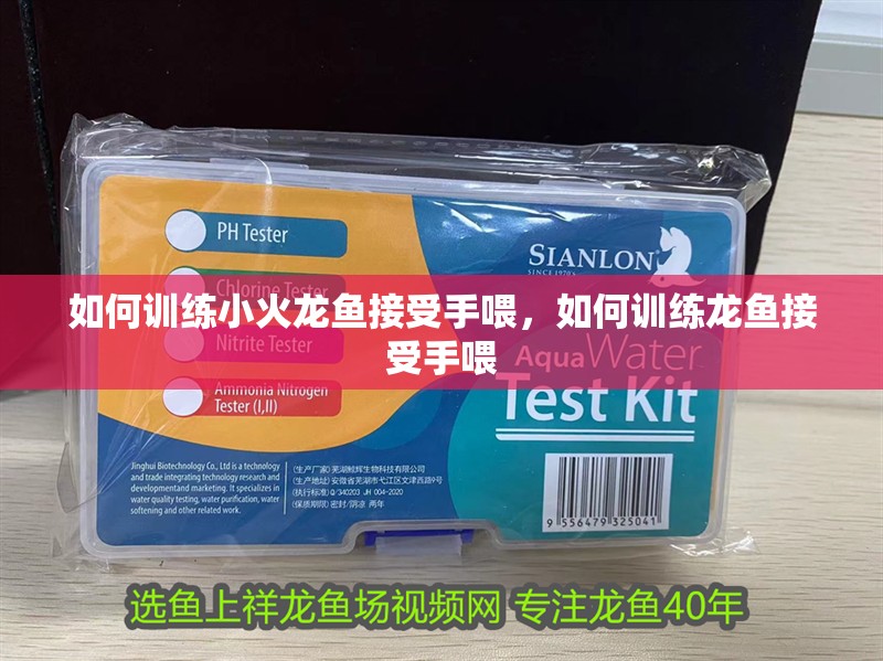 如何訓練小火龍魚接受手喂，如何訓練龍魚接受手喂