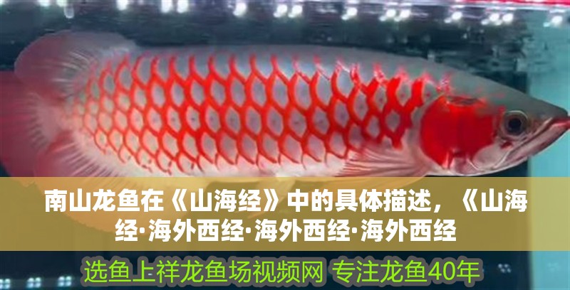 南山龍魚在《山海經》中的具體描述，《山海經·海外西經·海外西經·海外西經