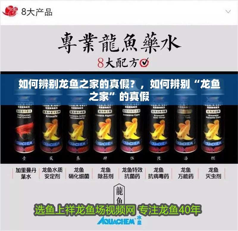 如何辨別龍魚之家的真假？，如何辨別“龍魚之家”的真假