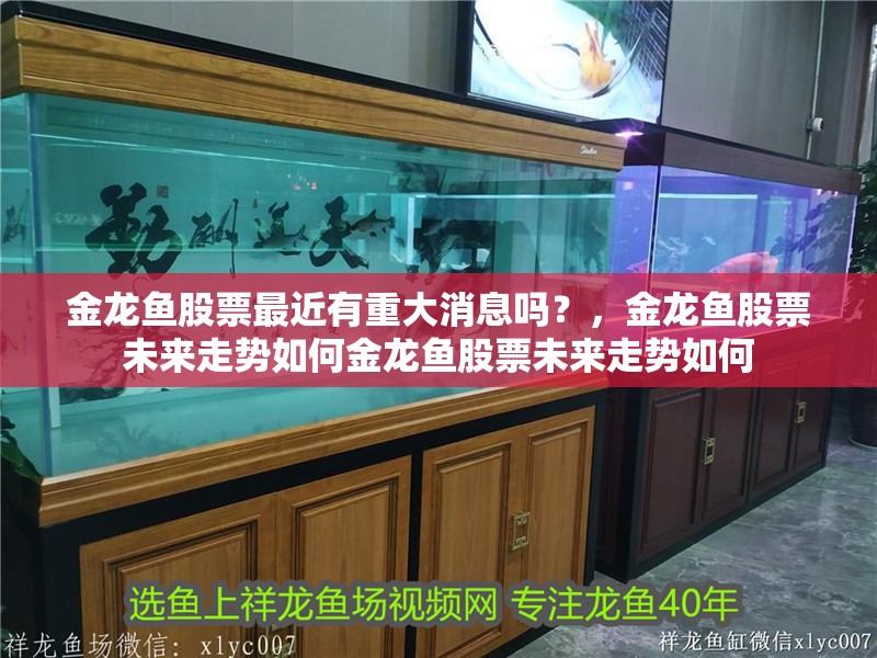 金龍魚(yú)股票最近有重大消息嗎？，金龍魚(yú)股票未來(lái)走勢(shì)如何金龍魚(yú)股票未來(lái)走勢(shì)如何