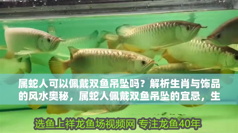 屬蛇人可以佩戴雙魚吊墜嗎？解析生肖與飾品的風(fēng)水奧秘，屬蛇人佩戴雙魚吊墜的宜忌，生肖與風(fēng)水飾品的深度解析