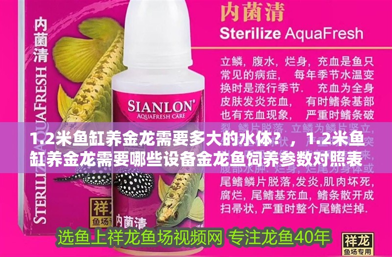 1.2米魚缸養金龍需要多大的水體？，1.2米魚缸養金龍需要哪些設備金龍魚飼養參數對照表