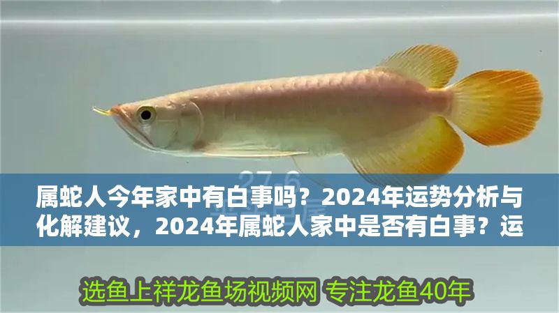 屬蛇人今年家中有白事嗎？2024年運勢分析與化解建議，2024年屬蛇人家中是否有白事？運勢解析與化解方法