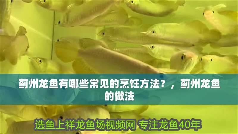 薊州龍魚有哪些常見的烹飪方法？，薊州龍魚的做法