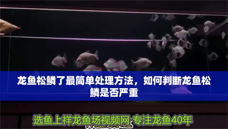 龍魚松鱗了最簡單處理方法，如何判斷龍魚松鱗是否嚴重 龍魚松鱗了最簡單處理方法，如何判斷龍魚松鱗是否嚴重 龍魚百科