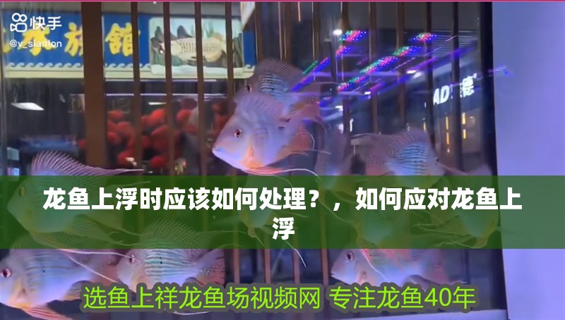 龍魚上浮時應該如何處理？，如何應對龍魚上浮