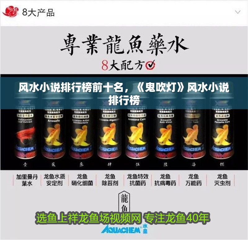 風水小說排行榜前十名，《鬼吹燈》風水小說排行榜