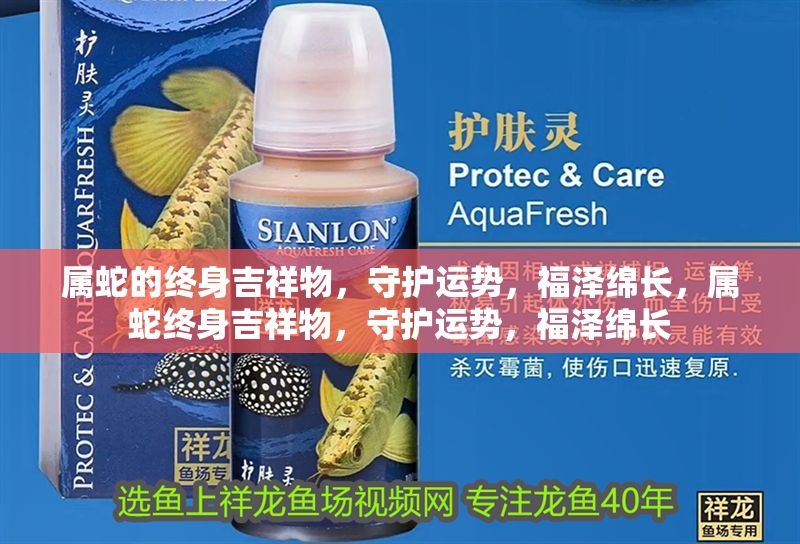 屬蛇的終身吉祥物，守護運勢，福澤綿長，屬蛇終身吉祥物，守護運勢，福澤綿長