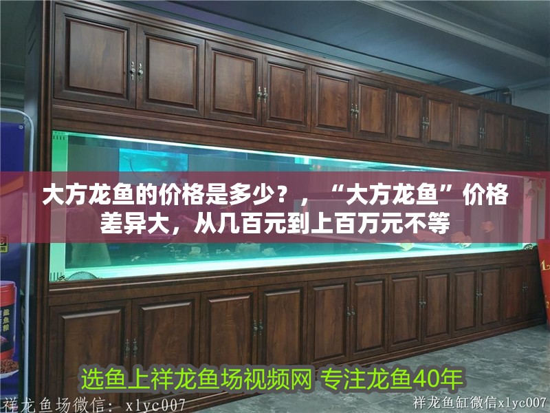 大方龍魚的價(jià)格是多少？，“大方龍魚”價(jià)格差異大，從幾百元到上百萬元不等 大方龍魚的價(jià)格是多少？，“大方龍魚”價(jià)格差異大，從幾百元到上百萬元不等 龍魚百科
