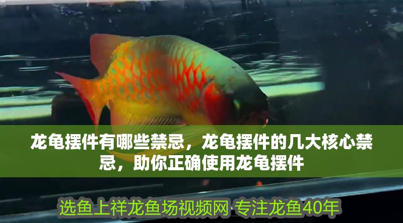 龍龜擺件有哪些禁忌，龍龜擺件的幾大核心禁忌，助你正確使用龍龜擺件