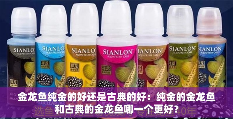 金龍魚純金的好還是古典的好：純金的金龍魚和古典的金龍魚哪一個更好？