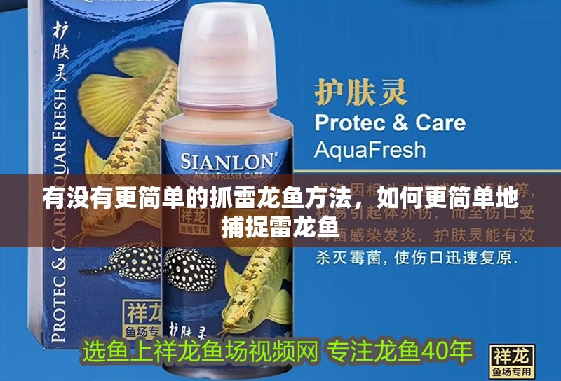 有沒有更簡單的抓雷龍魚方法，如何更簡單地捕捉雷龍魚