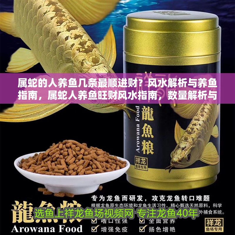 屬蛇的人養魚幾條最順進財？風水解析與養魚指南，屬蛇人養魚旺財風水指南，數量解析與飼養建議