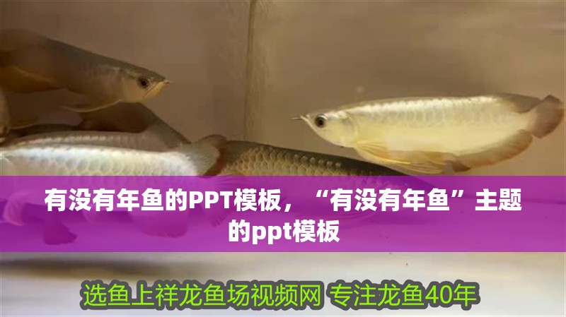 有沒有年魚的PPT模板，“有沒有年魚”主題的ppt模板