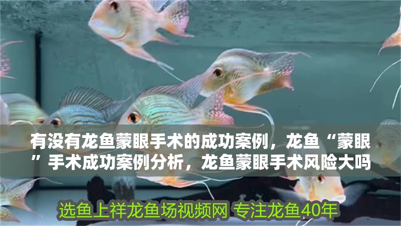 有沒有龍魚蒙眼手術(shù)的成功案例，龍魚“蒙眼”手術(shù)成功案例分析，龍魚蒙眼手術(shù)風(fēng)險(xiǎn)大嗎