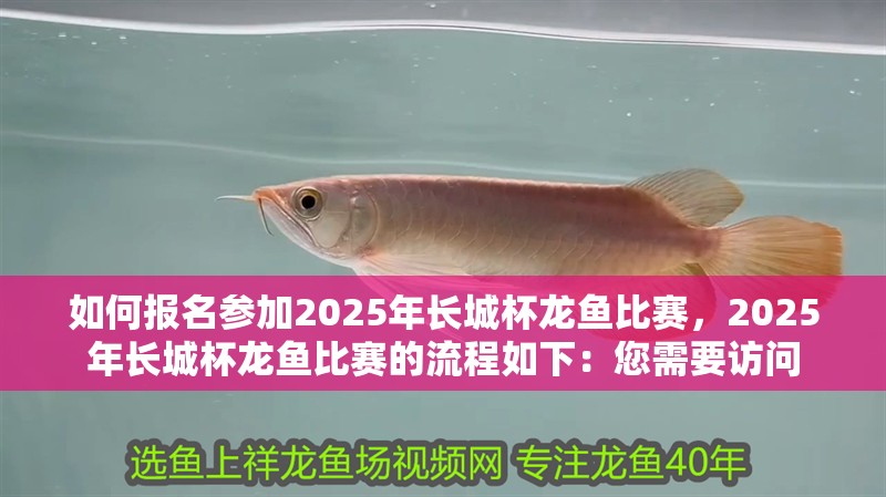 如何報名參加2025年長城杯龍魚比賽，2025年長城杯龍魚比賽的流程如下：您需要訪問