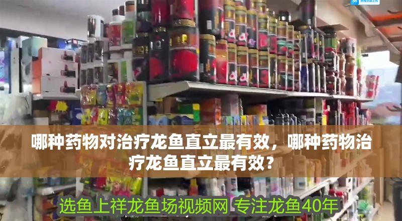 哪種藥物對治療龍魚直立最有效，哪種藥物治療龍魚直立最有效？