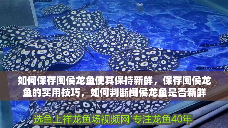 如何保存閩侯龍魚使其保持新鮮，保存閩侯龍魚的實用技巧，如何判斷閩侯龍魚是否新鮮