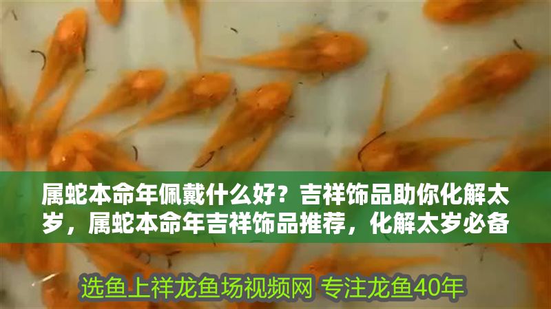 屬蛇本命年佩戴什么好？吉祥飾品助你化解太歲，屬蛇本命年吉祥飾品推薦，化解太歲必備指南