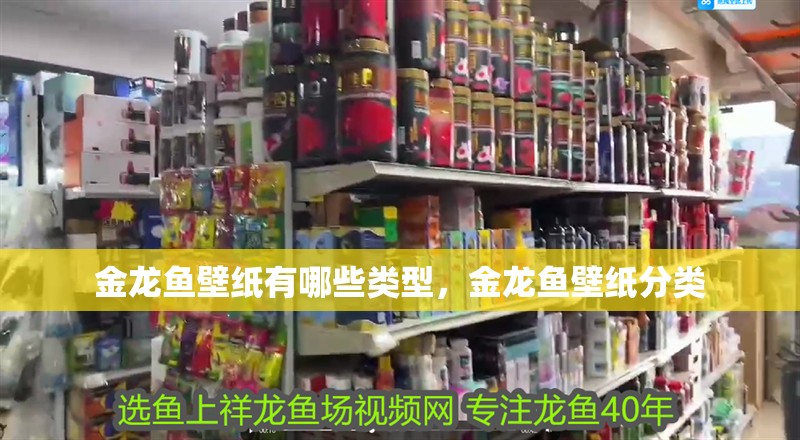 金龍魚壁紙有哪些類型，金龍魚壁紙分類 金龍魚壁紙有哪些類型，金龍魚壁紙分類 龍魚百科