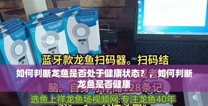 如何判斷龍魚(yú)是否處于健康狀態(tài)？，如何判斷龍魚(yú)是否健康 如何判斷龍魚(yú)是否處于健康狀態(tài)？，如何判斷龍魚(yú)是否健康 龍魚(yú)百科