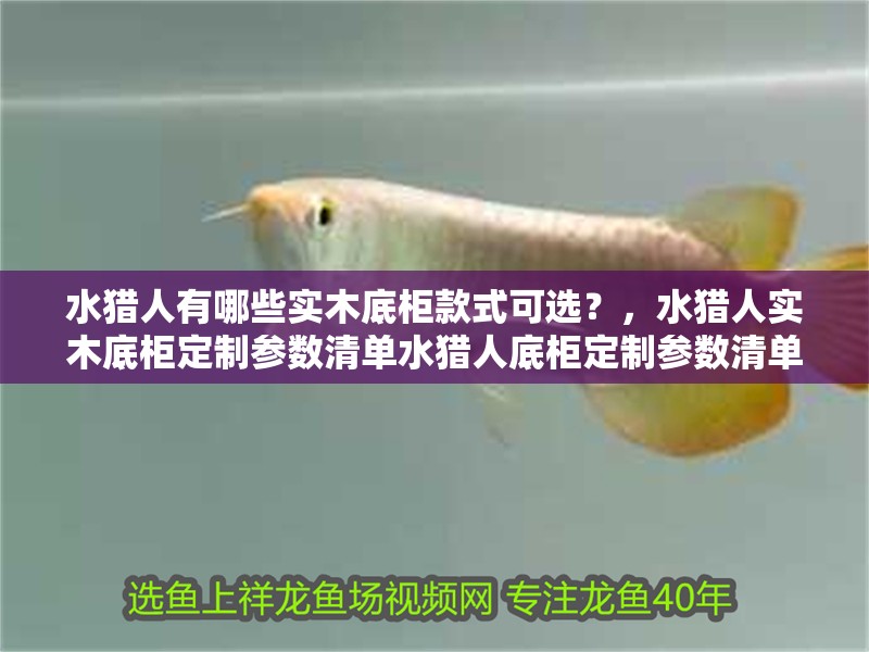 水獵人有哪些實木底柜款式可選？，水獵人實木底柜定制參數清單水獵人底柜定制參數清單 水獵人有哪些實木底柜款式可選？，水獵人實木底柜定制參數清單水獵人底柜定制參數清單 龍魚百科