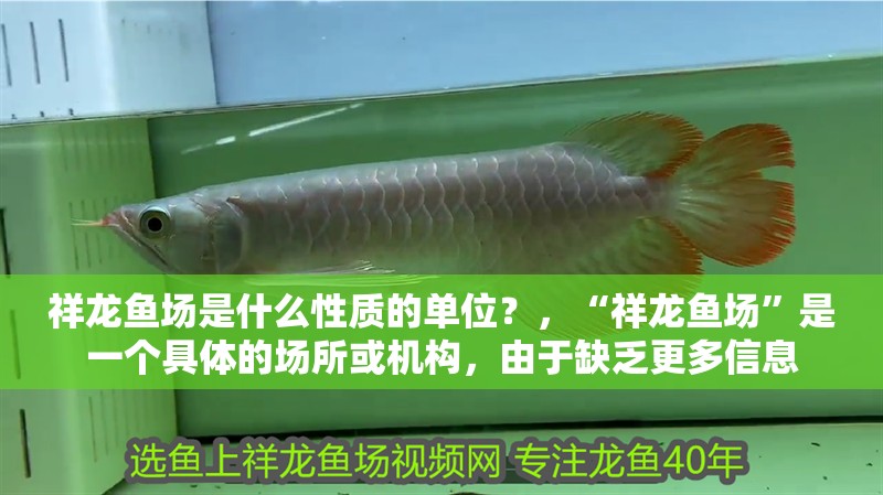 祥龍魚場是什么性質的單位？，“祥龍魚場”是一個具體的場所或機構，由于缺乏更多信息 祥龍魚場是什么性質的單位？，“祥龍魚場”是一個具體的場所或機構，由于缺乏更多信息 龍魚百科