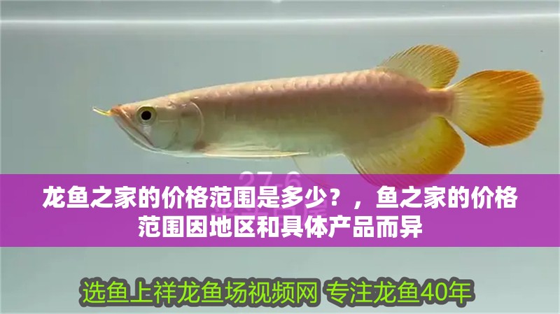 龍魚之家的價格范圍是多少？，魚之家的價格范圍因地區(qū)和具體產(chǎn)品而異 龍魚之家的價格范圍是多少？，魚之家的價格范圍因地區(qū)和具體產(chǎn)品而異 龍魚百科