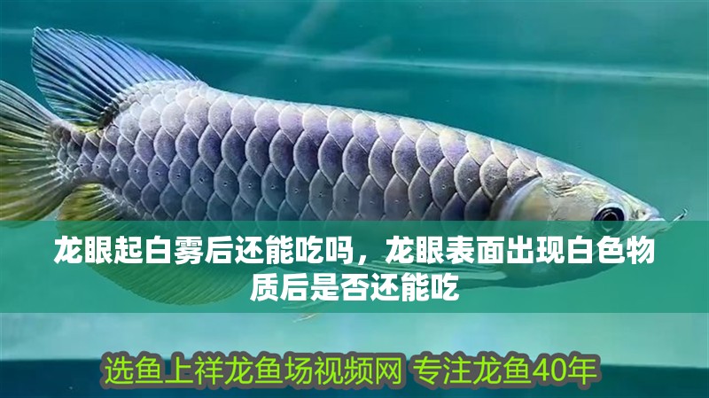 龍眼起白霧后還能吃嗎，龍眼表面出現(xiàn)白色物質(zhì)后是否還能吃