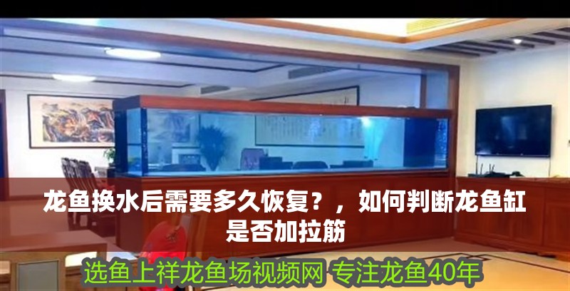 龍魚換水后需要多久恢復？，如何判斷龍魚缸是否加拉筋