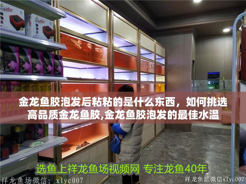 金龍魚膠泡發后粘粘的是什么東西，如何挑選高品質金龍魚膠,金龍魚膠泡發的最佳水溫