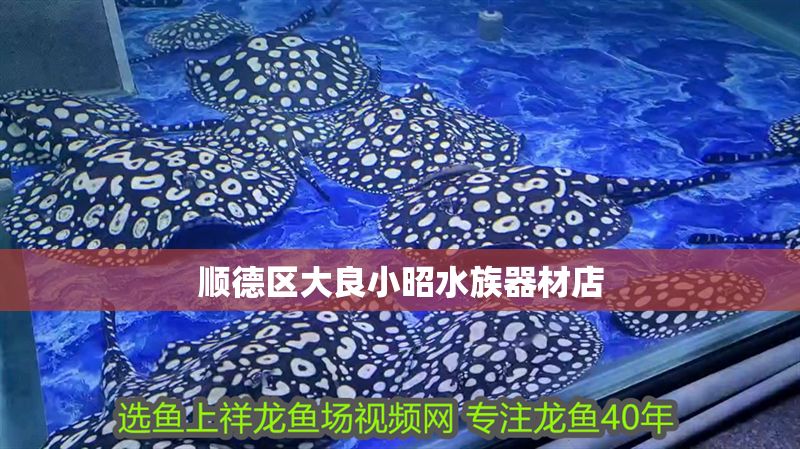 順德區(qū)大良小昭水族器材店 順德區(qū)大良小昭水族器材店 全國水族館企業(yè)名錄 第1張