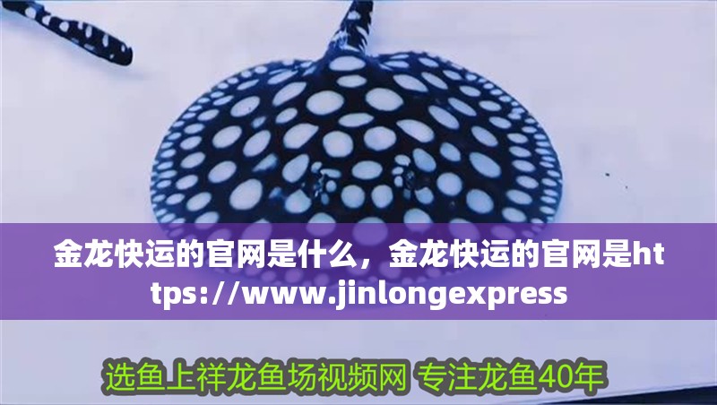 金龍快運(yùn)的官網(wǎng)是什么，金龍快運(yùn)的官網(wǎng)是https://www.jinlongexpress 金龍快運(yùn)的官網(wǎng)是什么，金龍快運(yùn)的官網(wǎng)是https://www.jinlongexpress 龍魚百科