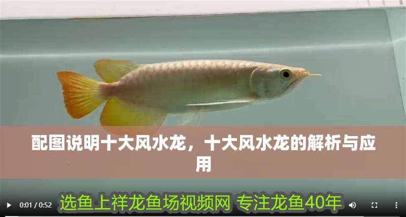 配圖說明十大風水龍，十大風水龍的解析與應用