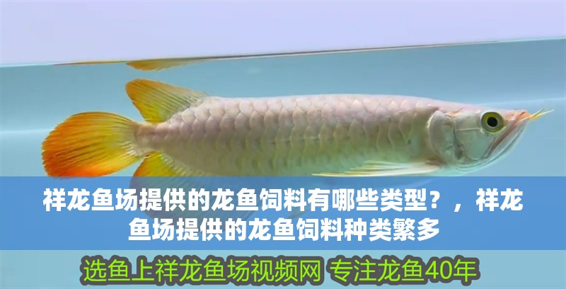 祥龍魚(yú)場(chǎng)提供的龍魚(yú)飼料有哪些類型？，祥龍魚(yú)場(chǎng)提供的龍魚(yú)飼料種類繁多 祥龍魚(yú)場(chǎng)提供的龍魚(yú)飼料有哪些類型？，祥龍魚(yú)場(chǎng)提供的龍魚(yú)飼料種類繁多 龍魚(yú)百科