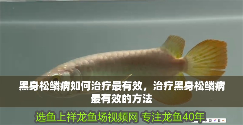 魚缸過濾器選購指南:自制魚缸過濾器魚缸上置過濾器對于養魚愛好者的必備知識 黑身松鱗病如何治療最有效,治療黑身松鱗病最有效的方法 龍魚百科 黑身松鱗病如何治療最有效,治療黑身松鱗病最有效的方法 黑身松鱗病如何治療最有效,治療黑身松鱗病最有效的方法 龍魚百科