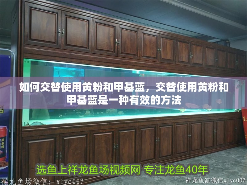 如何交替使用黃粉和甲基藍，交替使用黃粉和甲基藍是一種有效的方法 如何交替使用黃粉和甲基藍，交替使用黃粉和甲基藍是一種有效的方法 龍魚百科