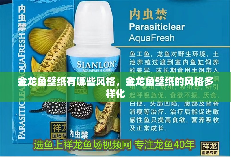 金龍魚壁紙有哪些風格，金龍魚壁紙的風格多樣化