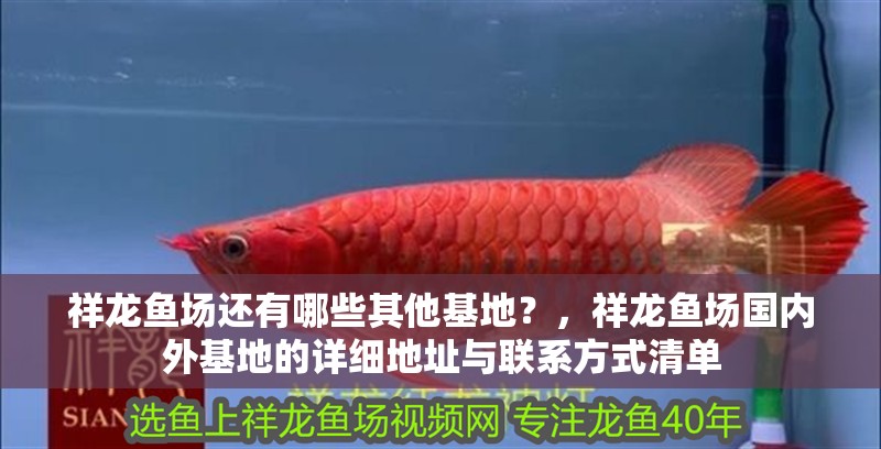 祥龍魚場(chǎng)還有哪些其他基地？，祥龍魚場(chǎng)國(guó)內(nèi)外基地的詳細(xì)地址與聯(lián)系方式清單 祥龍魚場(chǎng)還有哪些其他基地？，祥龍魚場(chǎng)國(guó)內(nèi)外基地的詳細(xì)地址與聯(lián)系方式清單 龍魚百科