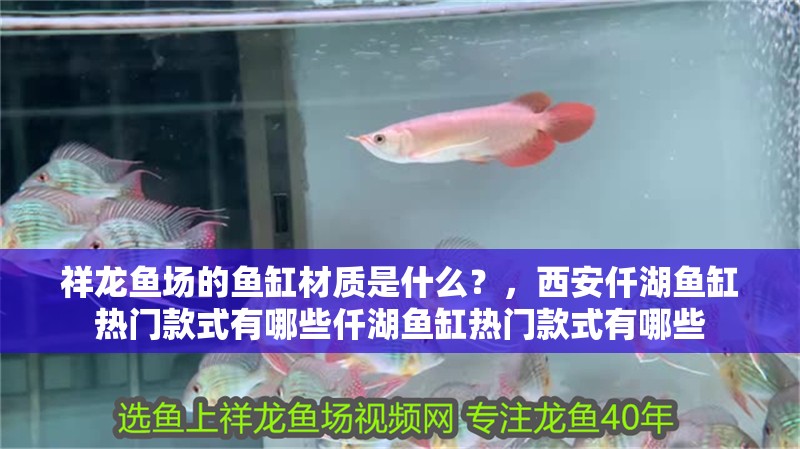 祥龍魚場的魚缸材質是什么？，西安仟湖魚缸熱門款式有哪些仟湖魚缸熱門款式有哪些 祥龍魚場的魚缸材質是什么？，西安仟湖魚缸熱門款式有哪些仟湖魚缸熱門款式有哪些 龍魚百科
