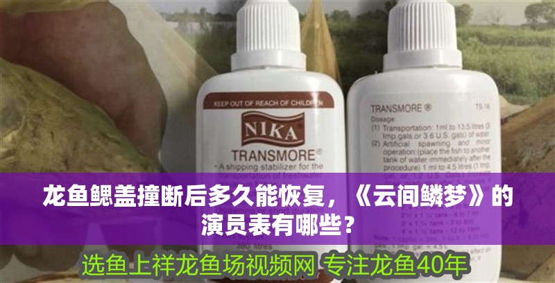 魚缸用增氧泵價格是多少:魚缸增氧機-xtrac增氧機-xtrac增氧機 龍魚鰓蓋撞斷后多久能恢復(fù),《云間鱗夢》的演員表有哪些? 龍魚百科 龍魚鰓蓋撞斷后多久能恢復(fù),《云間鱗夢》的演員表有哪些? 龍魚鰓蓋撞斷后多久能恢復(fù),《云間鱗夢》的演員表有哪些? 龍魚百科