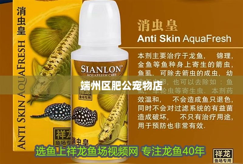 端州區肥公寵物店