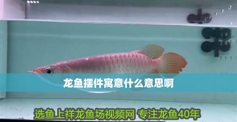 龍魚擺件寓意什么意思啊 龍魚百科 第2張 龍魚擺件寓意什么意思啊 龍魚擺件寓意什么意思啊 龍魚百科 第2張
