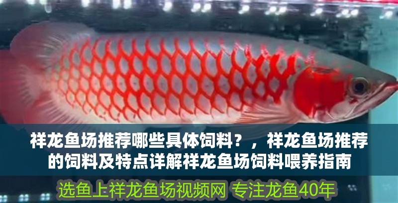 祥龍魚場推薦哪些具體飼料？，祥龍魚場推薦的飼料及特點詳解祥龍魚場飼料喂養指南 祥龍魚場推薦哪些具體飼料？，祥龍魚場推薦的飼料及特點詳解祥龍魚場飼料喂養指南 龍魚百科