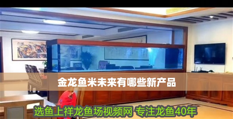 龍魚干蝦有營養(yǎng)嗎 金龍魚米未來有哪些新產(chǎn)品 龍魚百科 金龍魚米未來有哪些新產(chǎn)品 金龍魚米未來有哪些新產(chǎn)品 龍魚百科