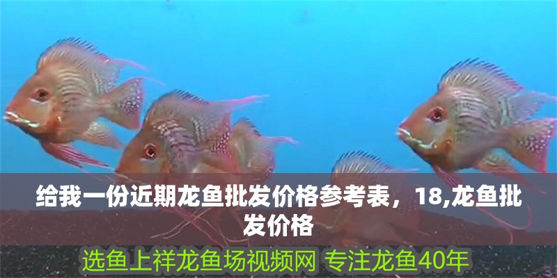 給我一份近期龍魚批發價格參考表，18,龍魚批發價格 給我一份近期龍魚批發價格參考表，18,龍魚批發價格 龍魚百科